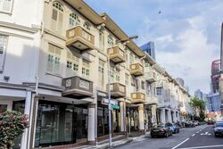 Bukit Pasoh Conservation Area (D2), Shop House #527522871